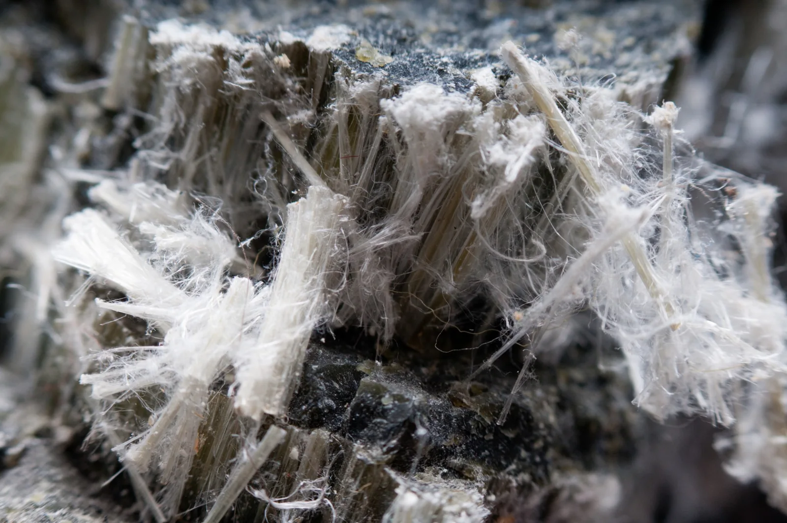 Close-up of fibrous asbestos material