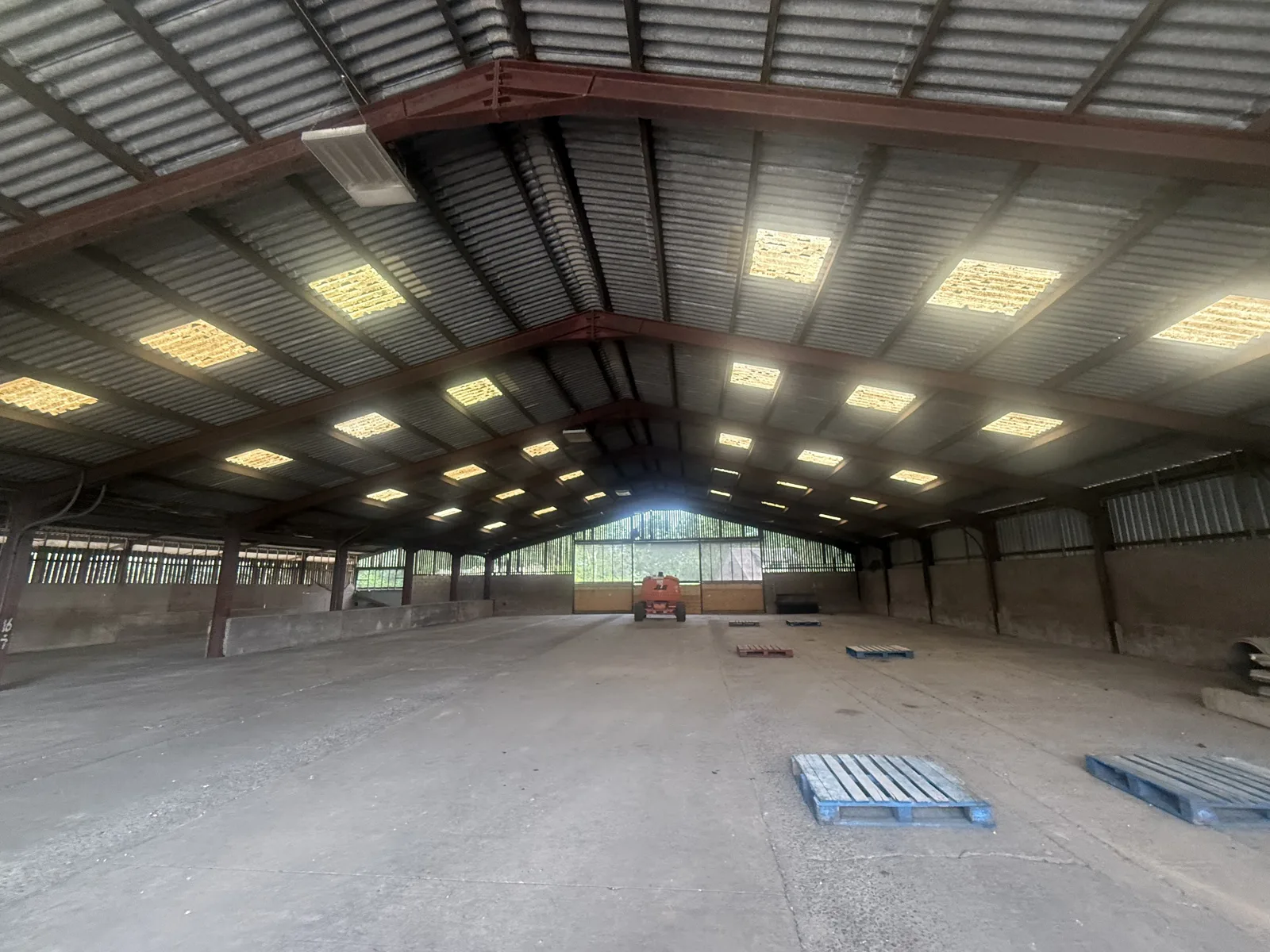 Interior of a commercial barn with asbestos-cement roof sheets in place before removal